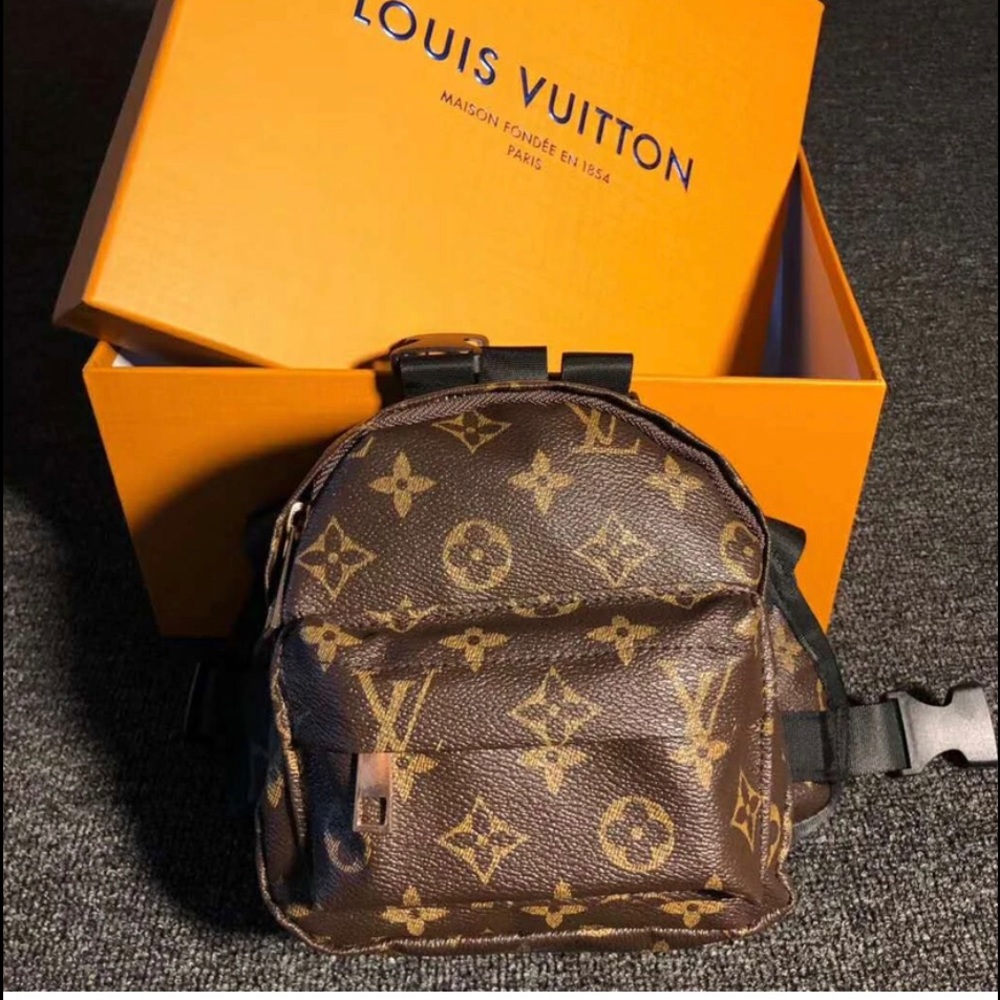 Pet backpack LV box not included